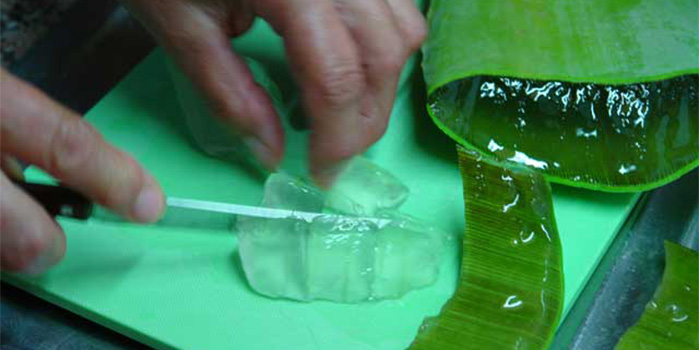 خواص شگفت انگیز نوشیدنی آلوورا